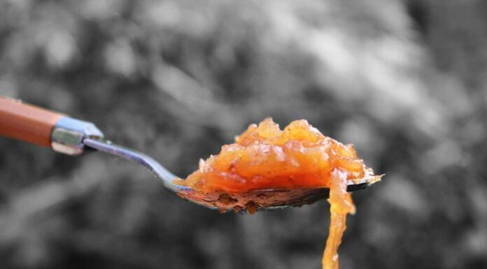 Mermelada de cebolla Receta de cebolla