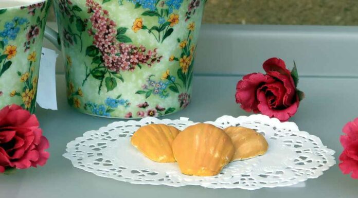Galletas francesas Madeleine Receta de galletas francesas madeleine
