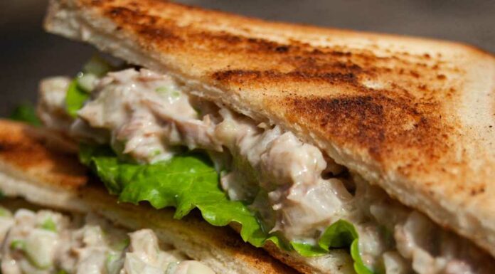 Relleno de pollo para sandwich Receta de relleno de pollo para sandwich